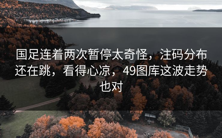 国足连着两次暂停太奇怪，注码分布还在跳，看得心凉，49图库这波走势也对